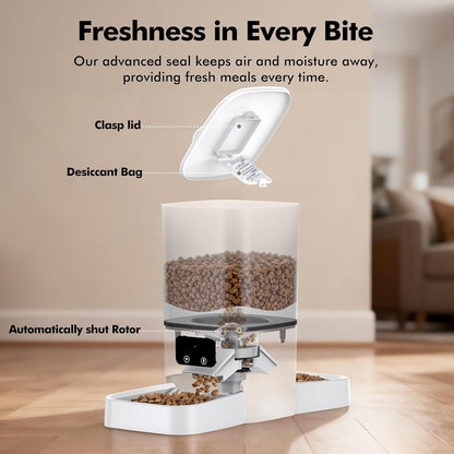 Smart WiFi Automatic Cat Feeder for Two Cats - 6L Capacity with Dual Stainless Steel Bowls, APP Control, and Voice Recorder